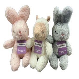 3 pack Cottondale Clementine Crew